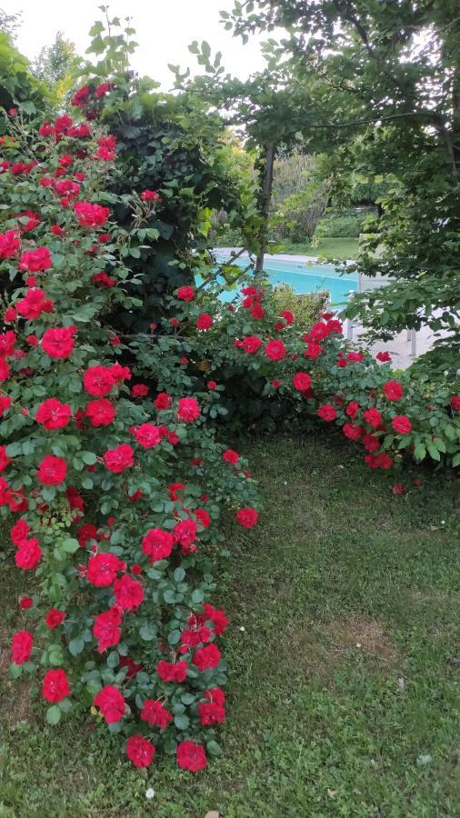 B&B Villa Valchero Carpaneto Piacentino Kültér fotó